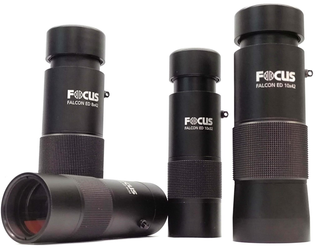 FOCUS FALCON MONO ED